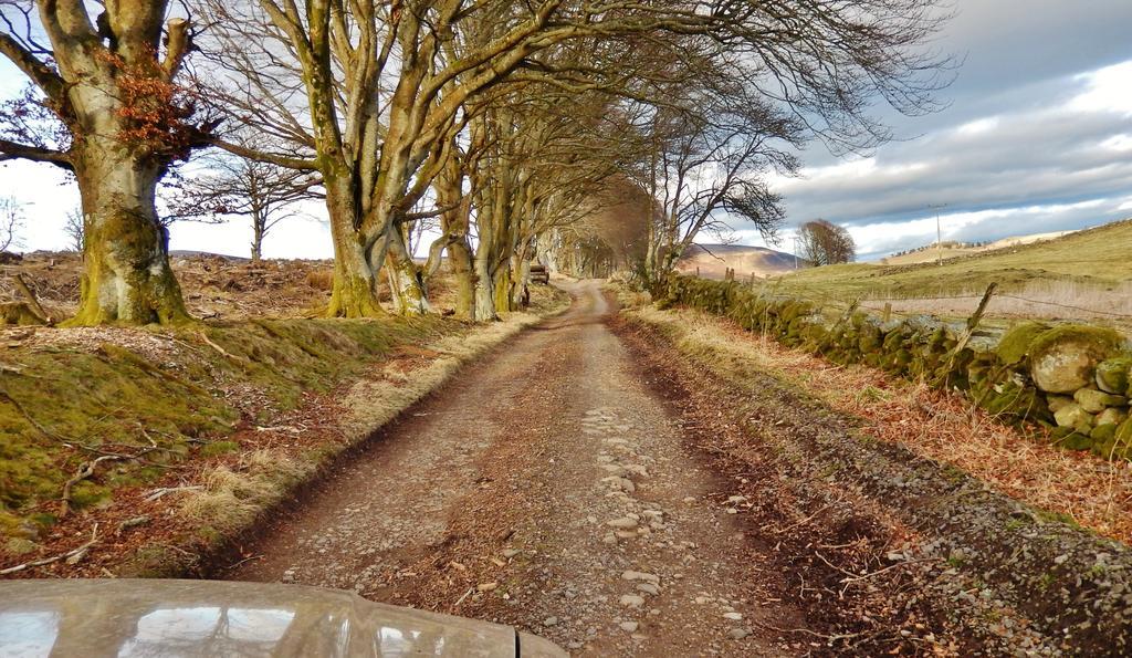 Scotland Paradise Relax Accommodation By Shooting Club Kirriemuir Balintore  Dış mekan fotoğraf