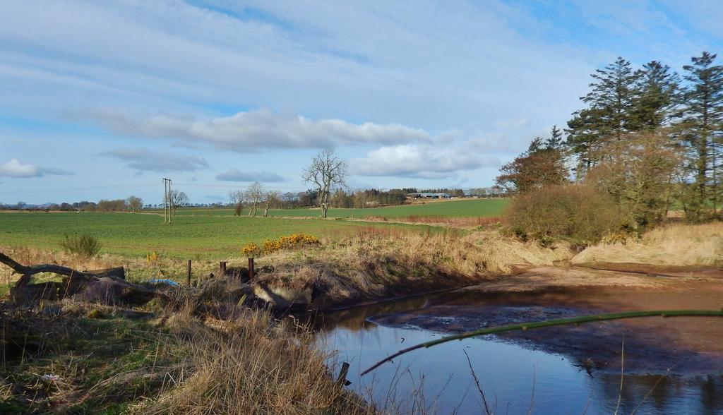Scotland Paradise Relax Accommodation By Shooting Club Kirriemuir Balintore  Dış mekan fotoğraf