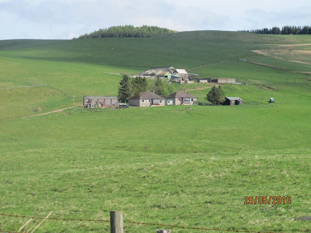 Scotland Paradise Relax Accommodation By Shooting Club Kirriemuir Balintore  Dış mekan fotoğraf